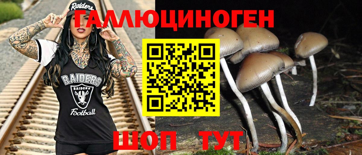 Советская Гавань  Псилоцибиновые грибы мицелий  Вход с VPN 